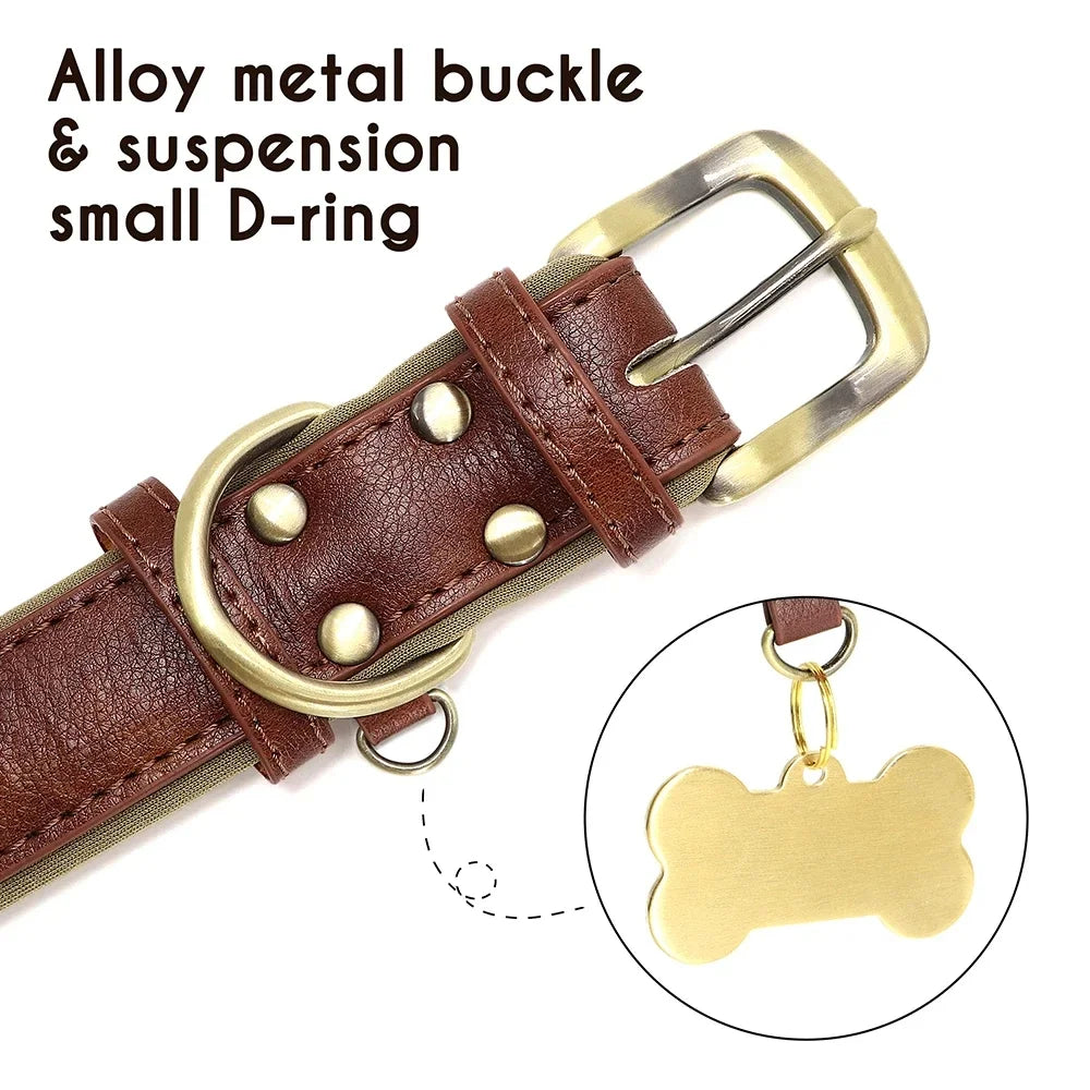 Customized Soft Padded Leather Dog Collar with ID Tag ATHLEXES