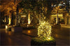 Enchanting Xmas LED String Lights - 100M & More ATHLEXES