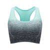 ElevateFit Seamless Sports Bra ATHLEXES