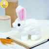 BunnyJoy Electric Plush Toy for Kids ATHLEXES