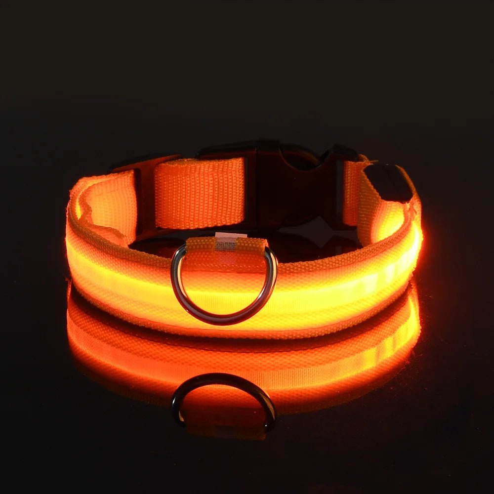 Nylon LED Night Safety Flashing Glow In The Dark Dog Leash Dogs Luminous Fluorescent Pet Dog Collar ATHLEXES