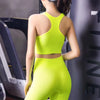 ElevateFit Push Up Sports Bra for Active Women ATHLEXES