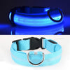 LED Glowing Dog Collar ATHLEXES