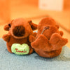 Capybara Wings Plush Hoodie Toy ATHLEXES