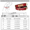 Customized Soft Padded Leather Dog Collar with ID Tag ATHLEXES