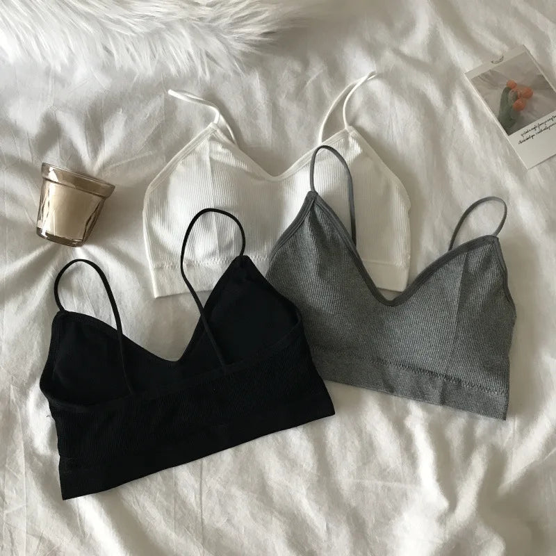 Women's Sports Bra Set Underwear Bra Korean Style Push Up No Steel Ring Bra ATHLEXES