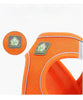 Reflective Cat Harness Set with Adjustable Leash for Small Pets ATHLEXES