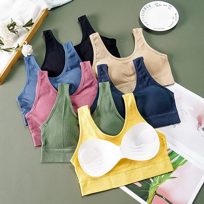 Seamless Comfort Sports Bra for Women ATHLEXES