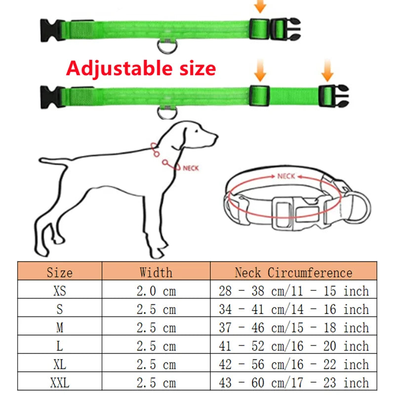 USB Charging LED Dog Collar ATHLEXES