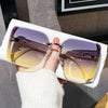 Belanova Luxury Oversized Square Sunglasses ATHLEXES