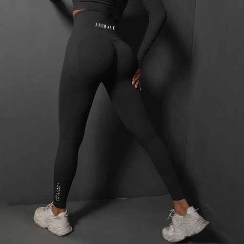  ATHLEXES