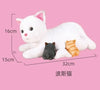 Talking Plush Cat Toy with Sound and Light ATHLEXES