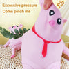 PiggyPal Stress Relief Squeeze Toy Set ATHLEXES