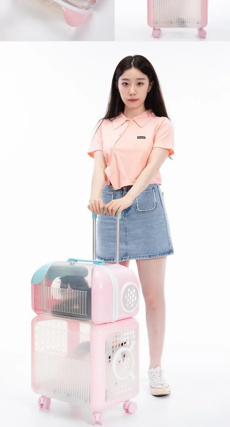 Plastic Portable Space Capsule Cat Bag Double Positions Transparency Large Capacity Trolley Case Cat Carriers Pet Products ATHLEXES