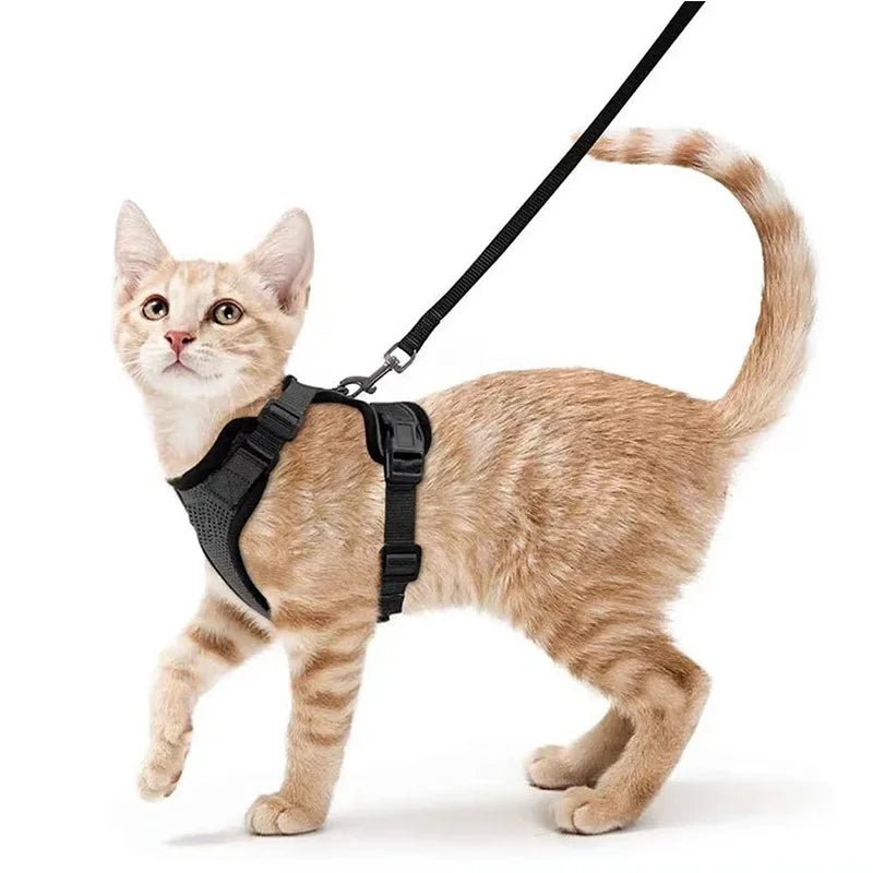 Cat Harness Lead Leash Set Walking Training Escape Proof Adjustable Reflective Pet Vest Harness Kitten Collar Pet Supplies ATHLEXES