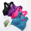 ElevateFit Seamless Sports Bra for Active Women ATHLEXES