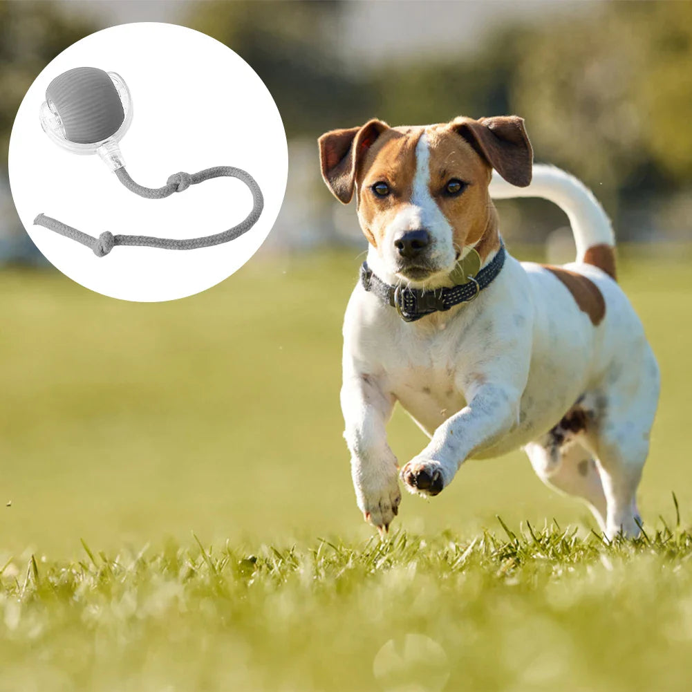 PlayFetch Automatic Ball Toys for Cats and Dogs ATHLEXES