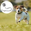 PlayFetch Automatic Ball Toys for Cats and Dogs ATHLEXES