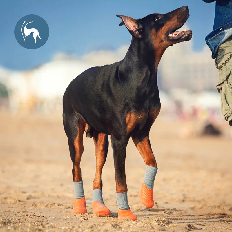 PawShield Waterproof Dog Booties Set ATHLEXES
