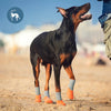PawShield Waterproof Dog Booties Set ATHLEXES