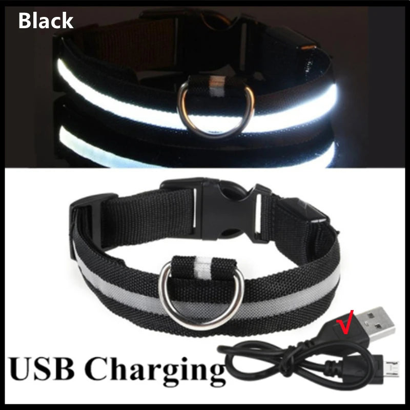 USB Charging LED Dog Collar ATHLEXES