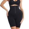 Sculpt & Shape High Waist Tummy Control Shorts ATHLEXES