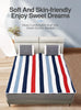 CozyStripe Heated Blanket with Adjustable Warmth ATHLEXES