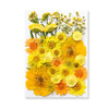 Pressed Floral Epoxy Kit for DIY Jewelry Crafts ATHLEXES
