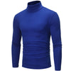 Sleek Casual Basic Turtleneck ATHLEXES