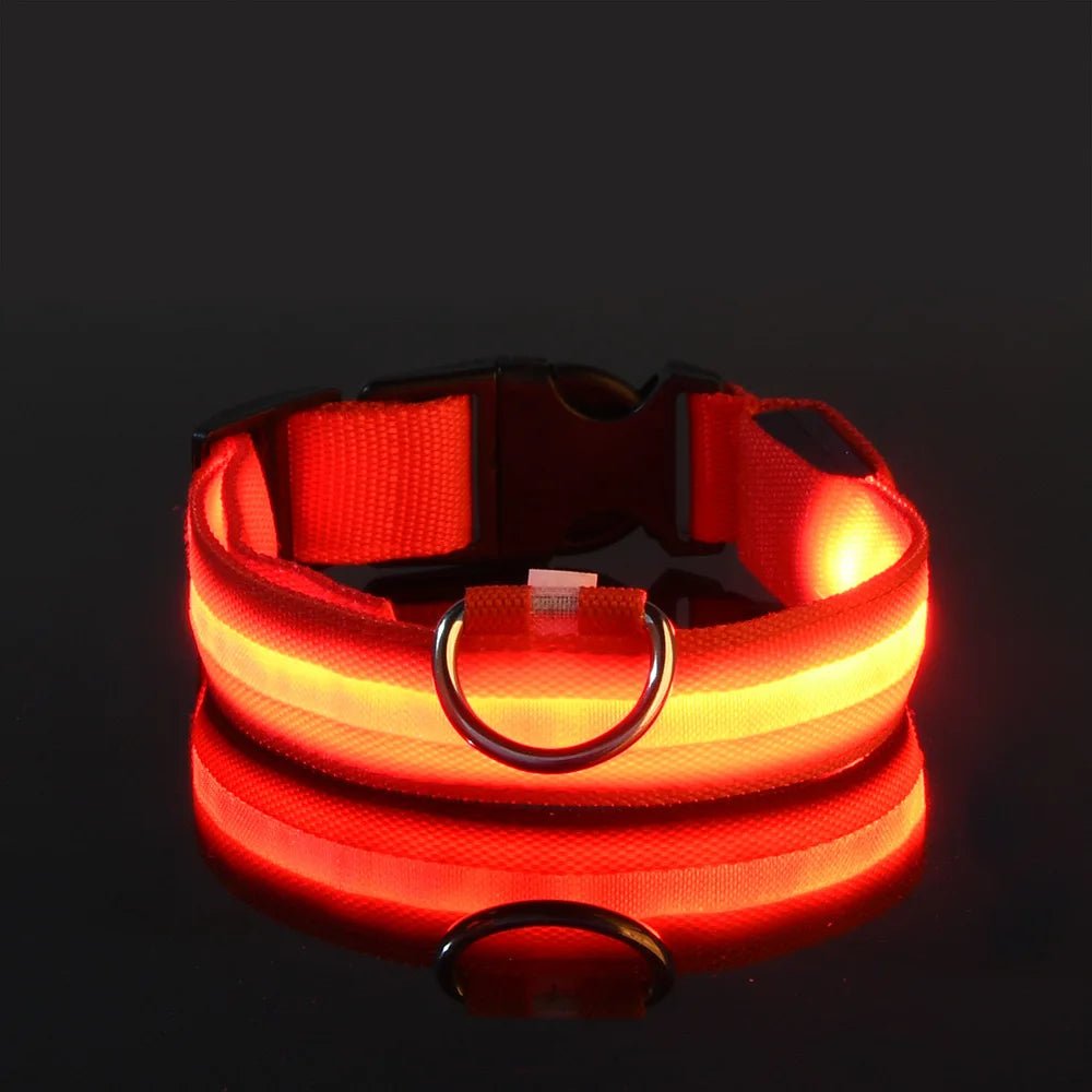 Nylon LED Night Safety Flashing Glow In The Dark Dog Leash Dogs Luminous Fluorescent Pet Dog Collar ATHLEXES