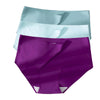 SilkSoft Plus Size Seamless Panties Set ATHLEXES