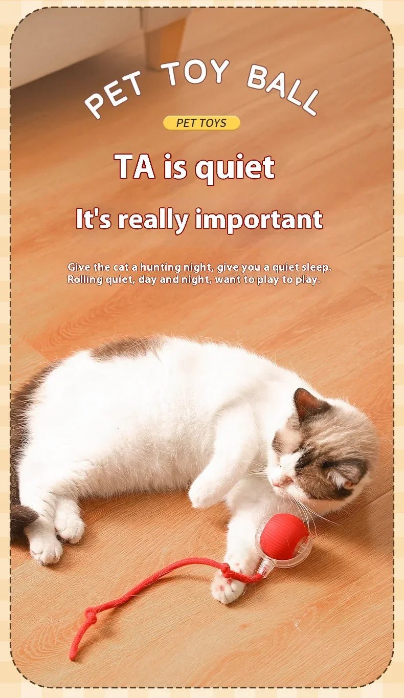 Interactive Cat Toys Ball Auto Electric Rolling Ball Toys for Cats/Kitty Pets Smart Automatic Teaser USB Rechargeable ATHLEXES