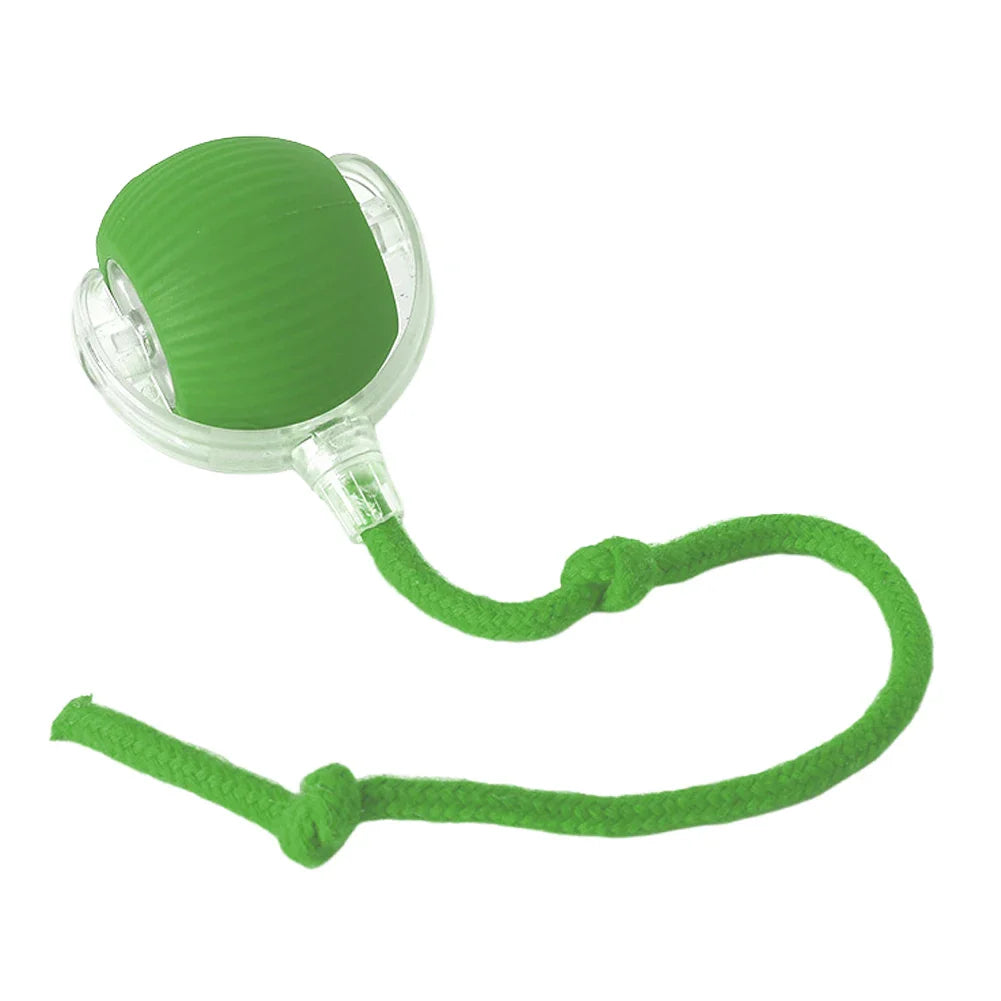 Playful Paws Interactive Ball Toys for Cats and Dogs ATHLEXES