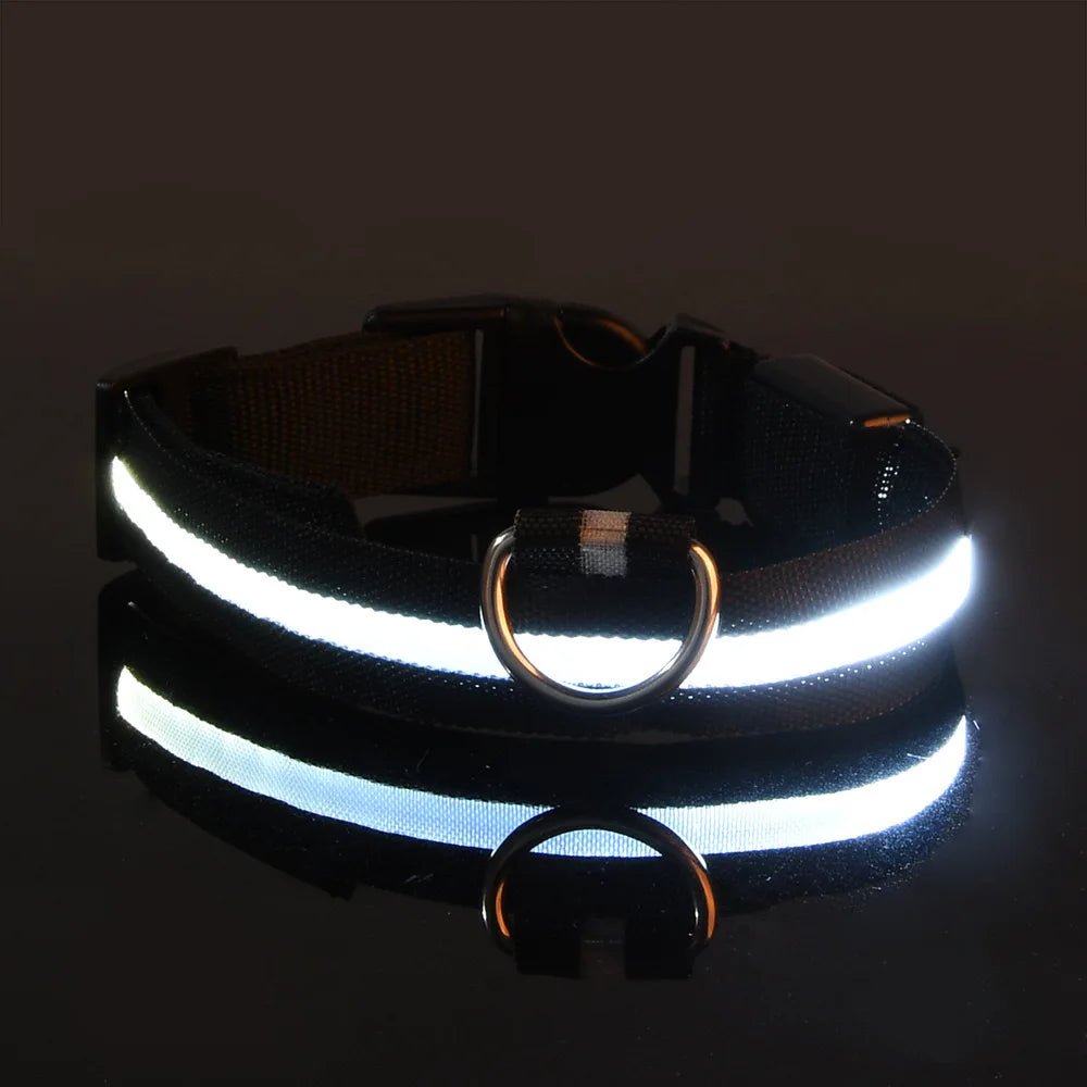 Nylon LED Night Safety Flashing Glow In The Dark Dog Leash Dogs Luminous Fluorescent Pet Dog Collar ATHLEXES