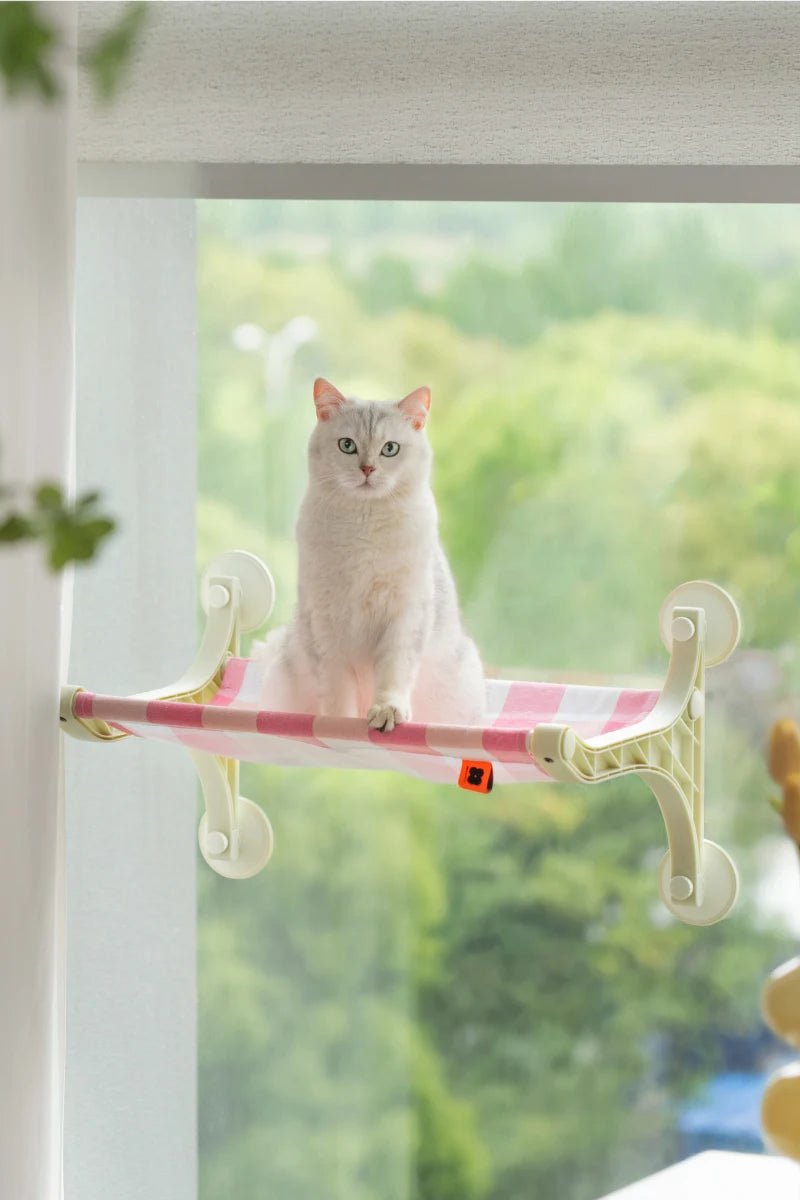 Mewoofun Cat Window Perch ATHLEXES