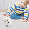 Interactive Plush Bunny Toy with Sound and Movement ATHLEXES