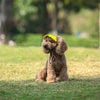 PawProtect Adjustable Dog Sun Cap ATHLEXES