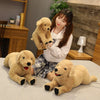 files/S2be41e952f4d4724ba451e28f2d8c826s.webp