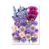 Pressed Floral Epoxy Kit for DIY Jewelry Crafts ATHLEXES
