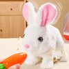 files/S2cfef9b6171848bab71304ef1ac31df2L.webp