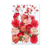 Pressed Floral Epoxy Kit for DIY Jewelry Crafts ATHLEXES