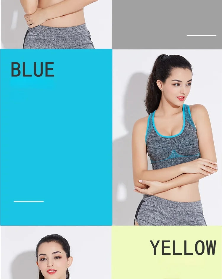 Seamless Support Sports Bra for Active Women ATHLEXES