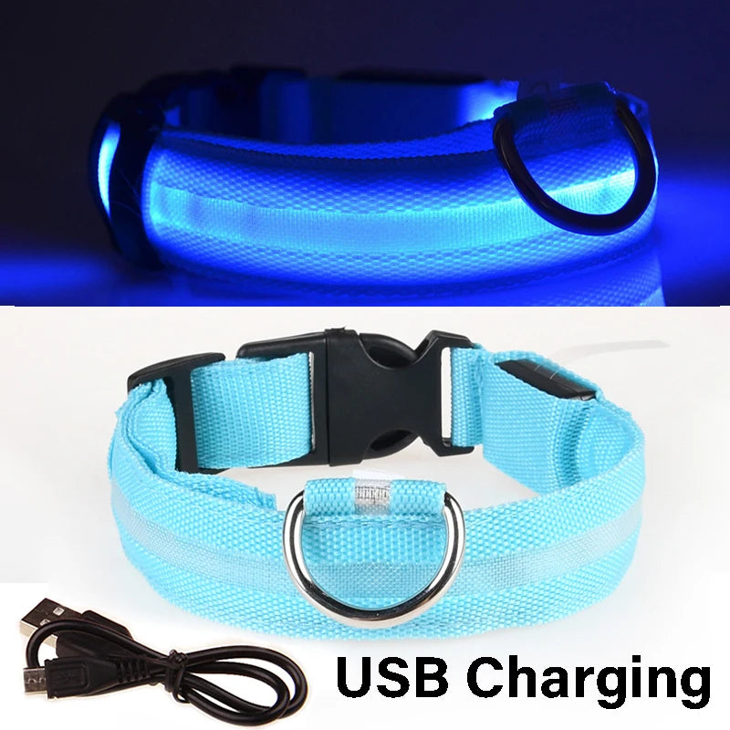 LED Glowing Dog Collar ATHLEXES