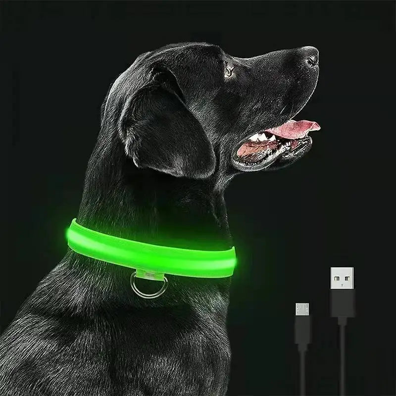 USB Charging LED Dog Collar ATHLEXES