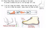 LuxSoft High Top Women's Plush Dad Shoes 2023 ATHLEXES