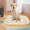 Portable Pet Dog Toilet Puppy Potty Tray Potty Toilet Dog Potty Tray Training Pad Holder Detachable Cleaning Tool Pet Supplies ATHLEXES