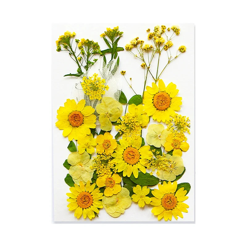 Pressed Floral Epoxy Kit for DIY Jewelry Crafts ATHLEXES