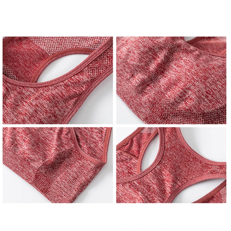 ActiveFit Seamless Sports Bra for Women ATHLEXES