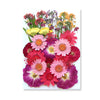 Pressed Floral Epoxy Kit for DIY Jewelry Crafts ATHLEXES