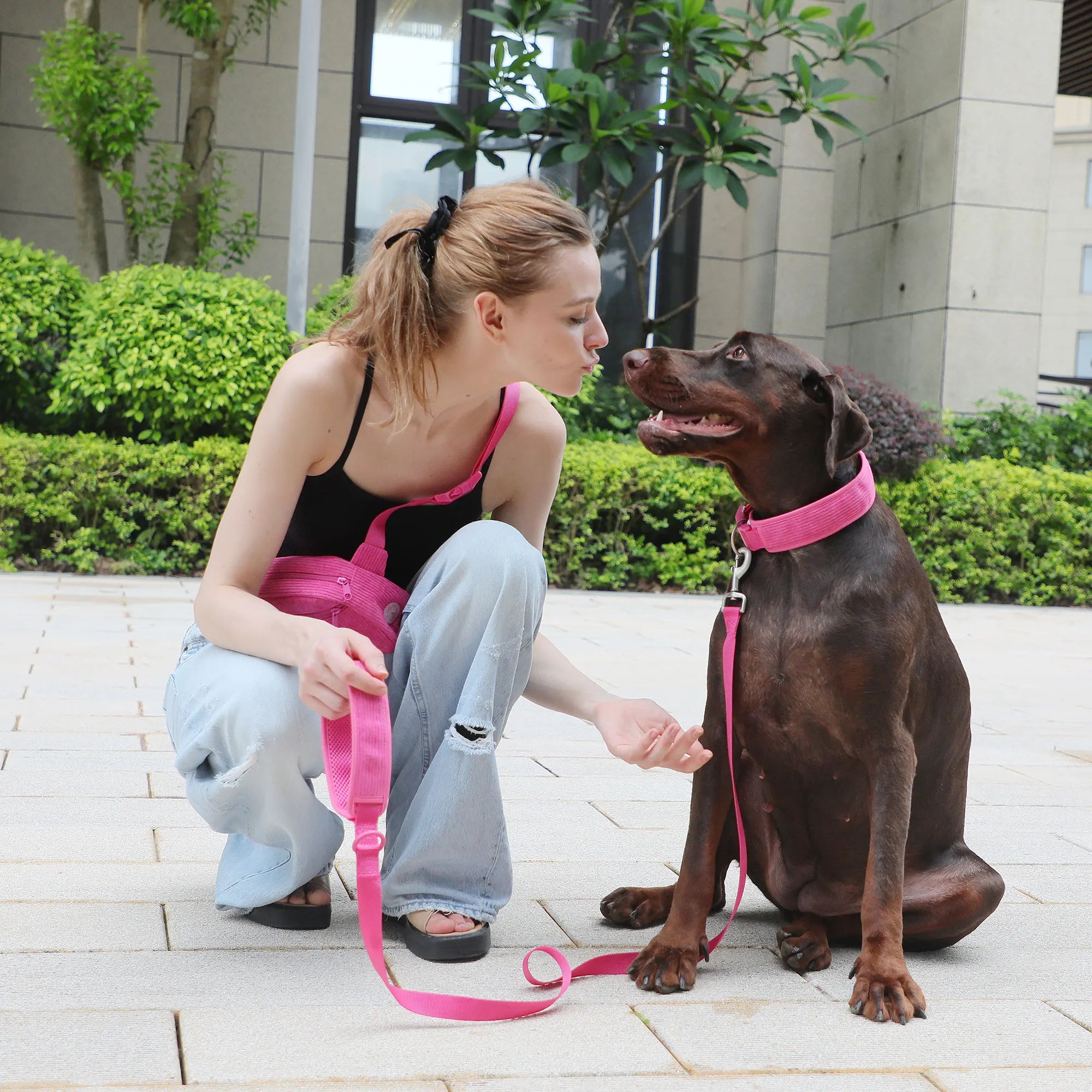 Personalized Reflective Dog Collar & Leash Set ATHLEXES